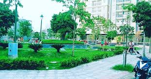 mảng xanh công viên The parkland