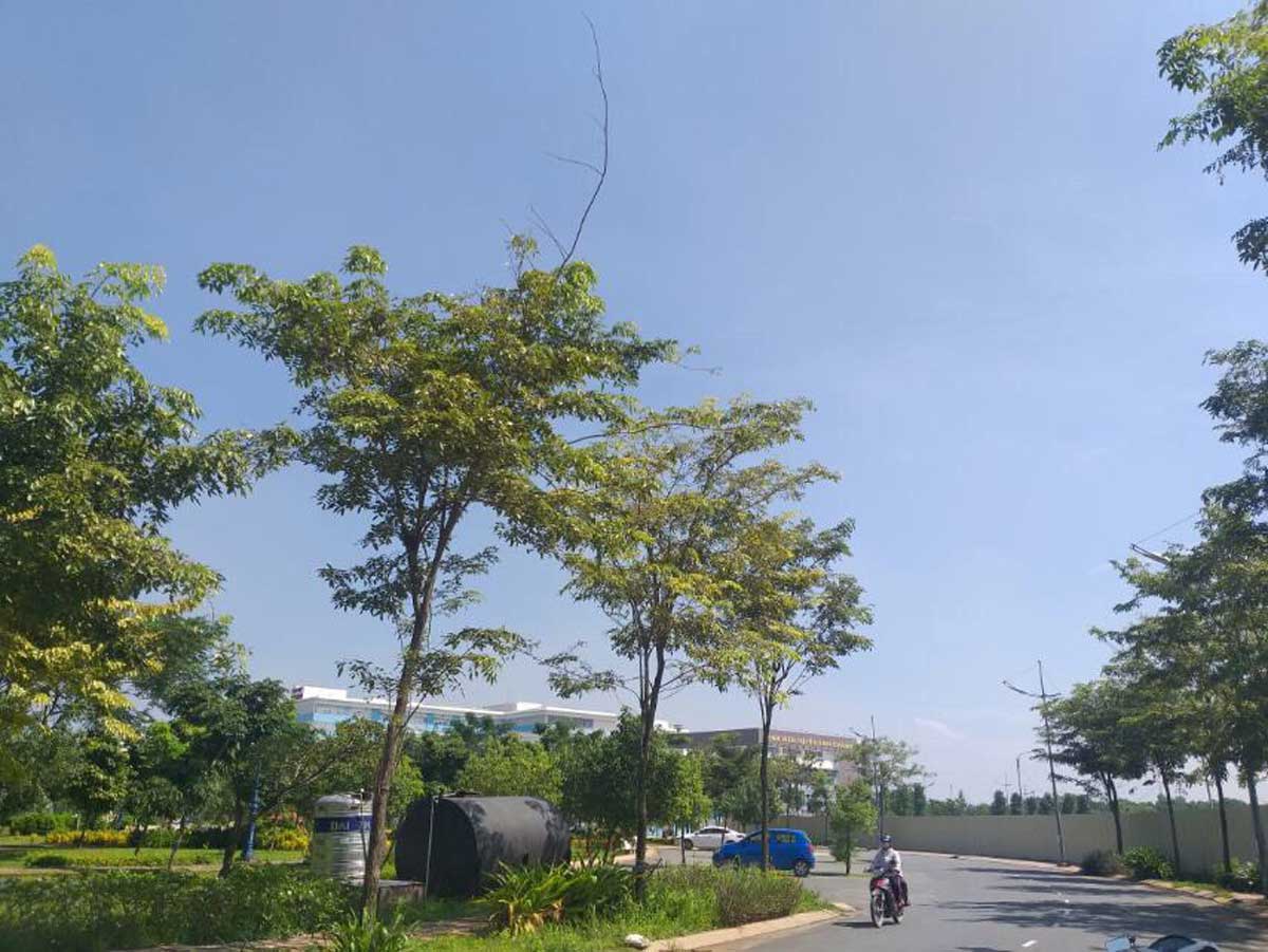 Hình ảnh thực tế Dự án Căn hộ West Gate Park Bình Chánh